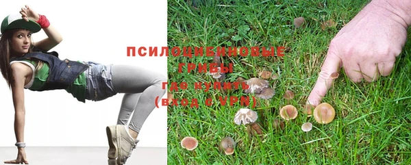 гидропоника Алзамай